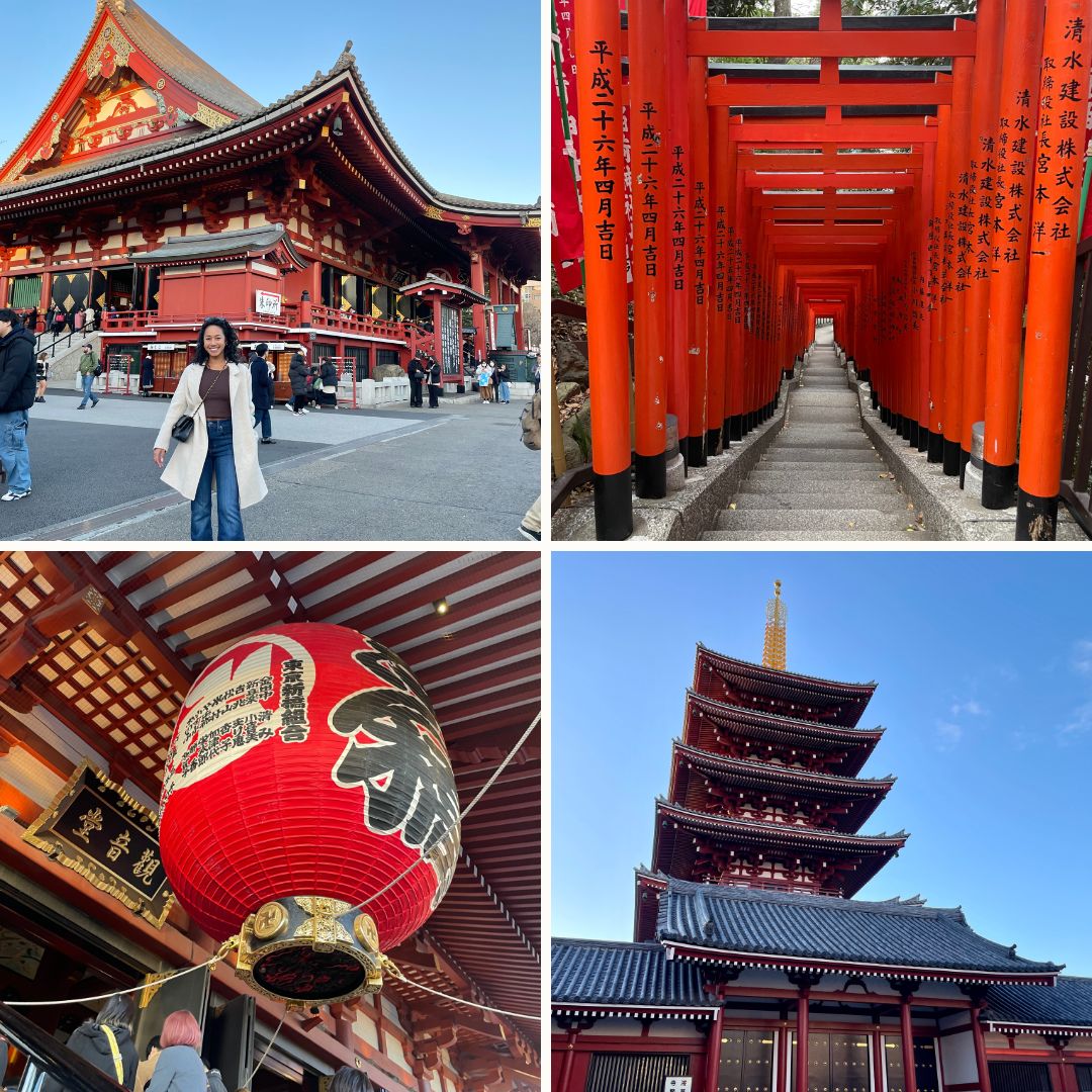Tokyo, Japan Sightseeing Travel Guide