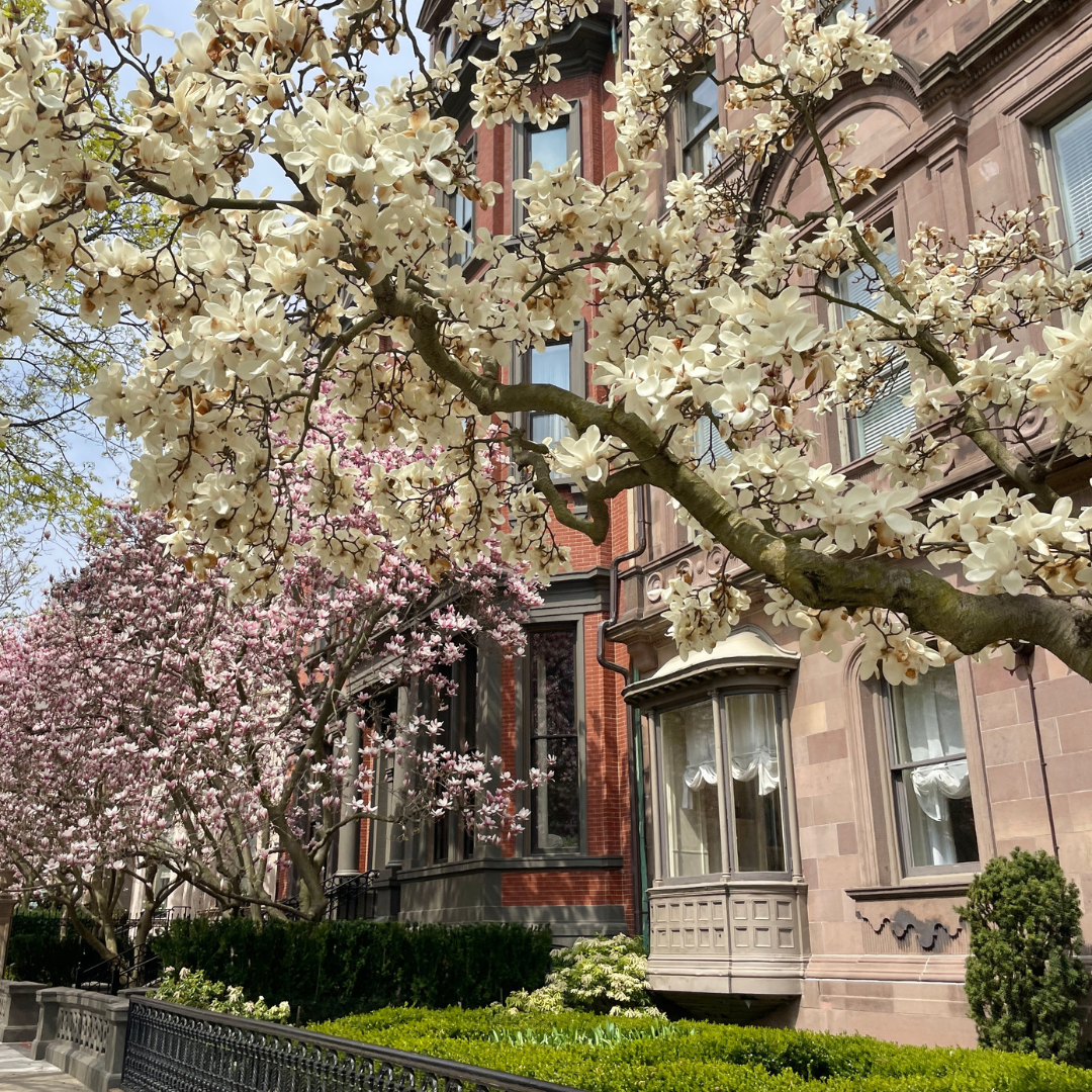 My Favorite Places to Visit in Boston During the Spring